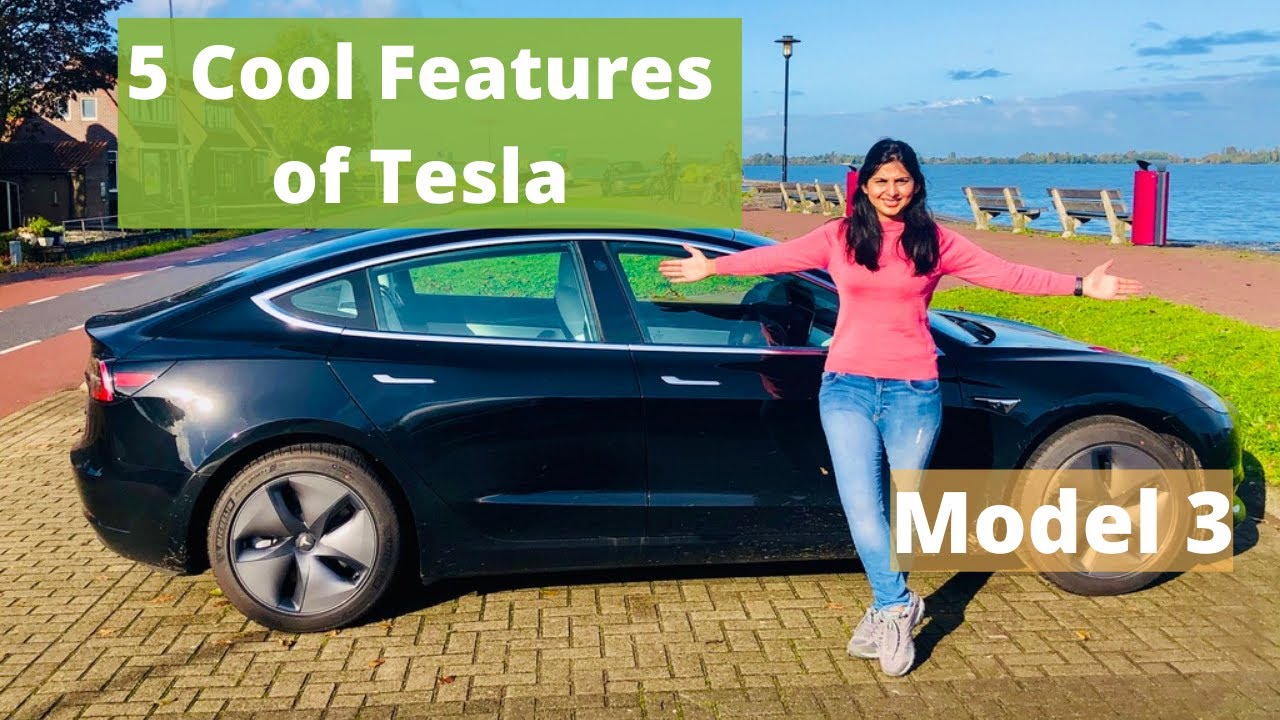 Tesla Model 3 Hindi Vlog| Tesla In India | Elon Musk | Electric Cars in India | Can you buy a Tesla?