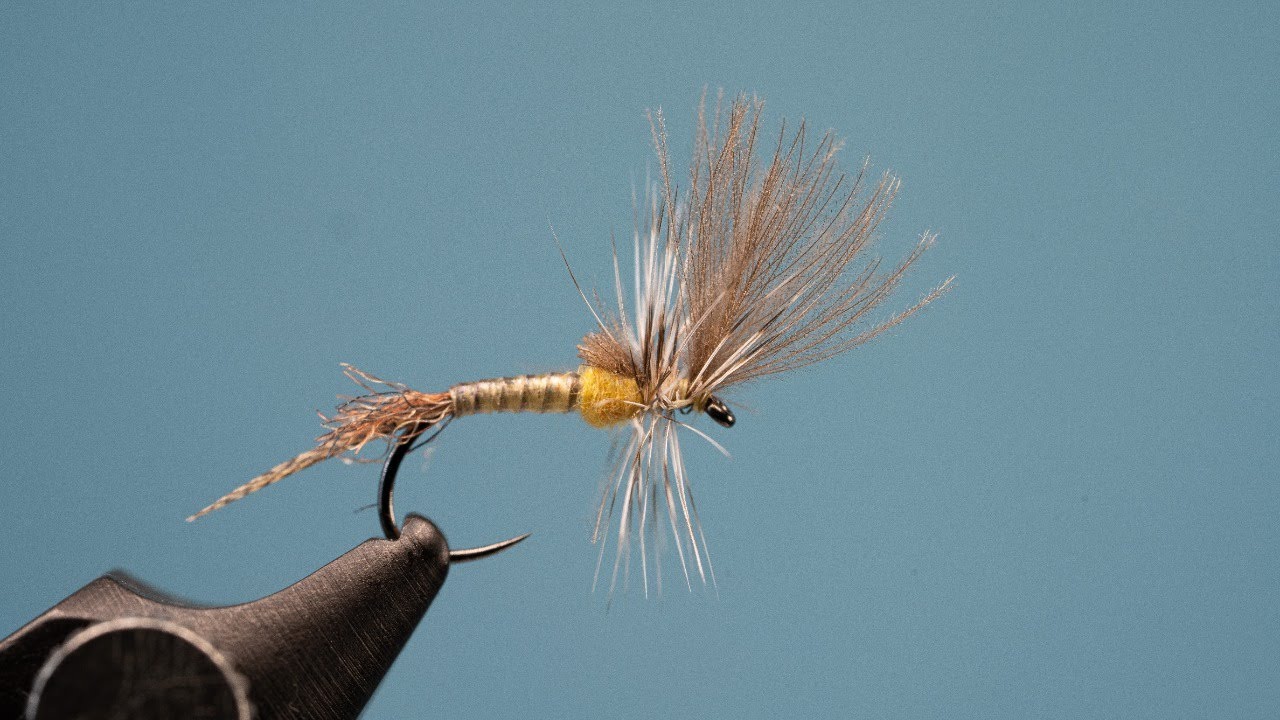 Monthly Tie-Off:  The Last Chance Cripple PMD