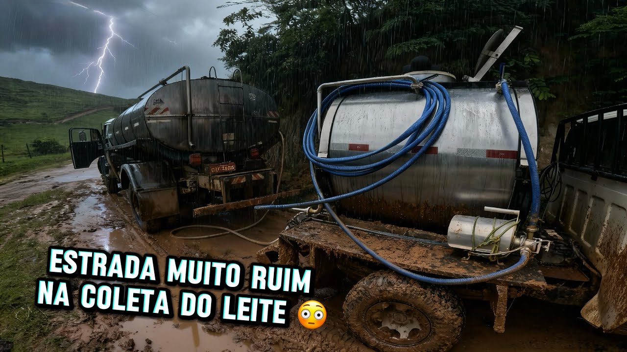 Muita chuva e estrada ruim na coleta do suco da mimosa 🚛🐄
