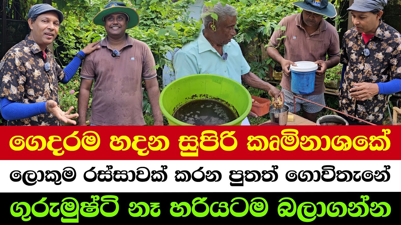 Make Your Own Powerful Organic Pesticide!