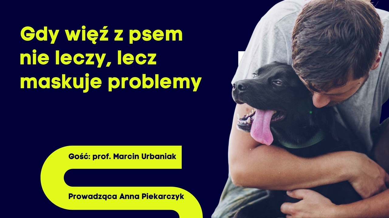 Gdy więź z psem nie leczy, lecz maskuje problemy