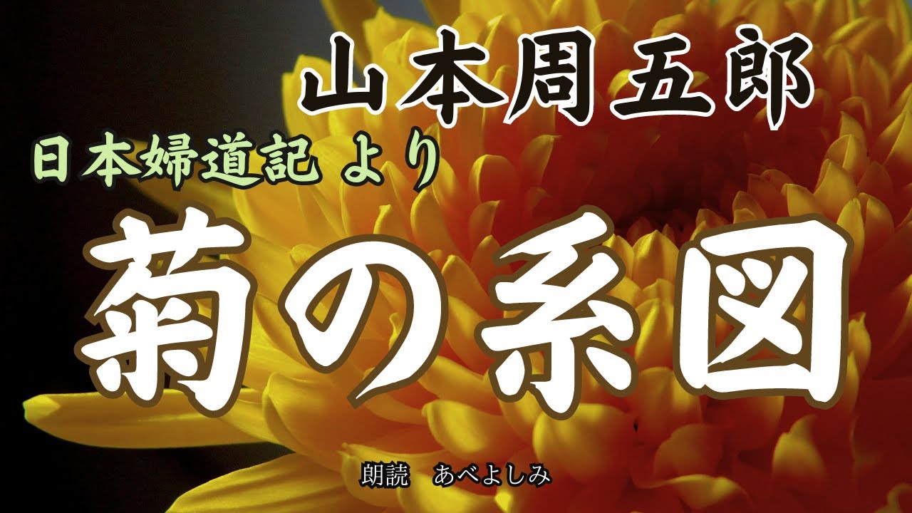 【朗読】山本周五郎・日本婦道記より「菊の系図」　朗読・あべよしみ