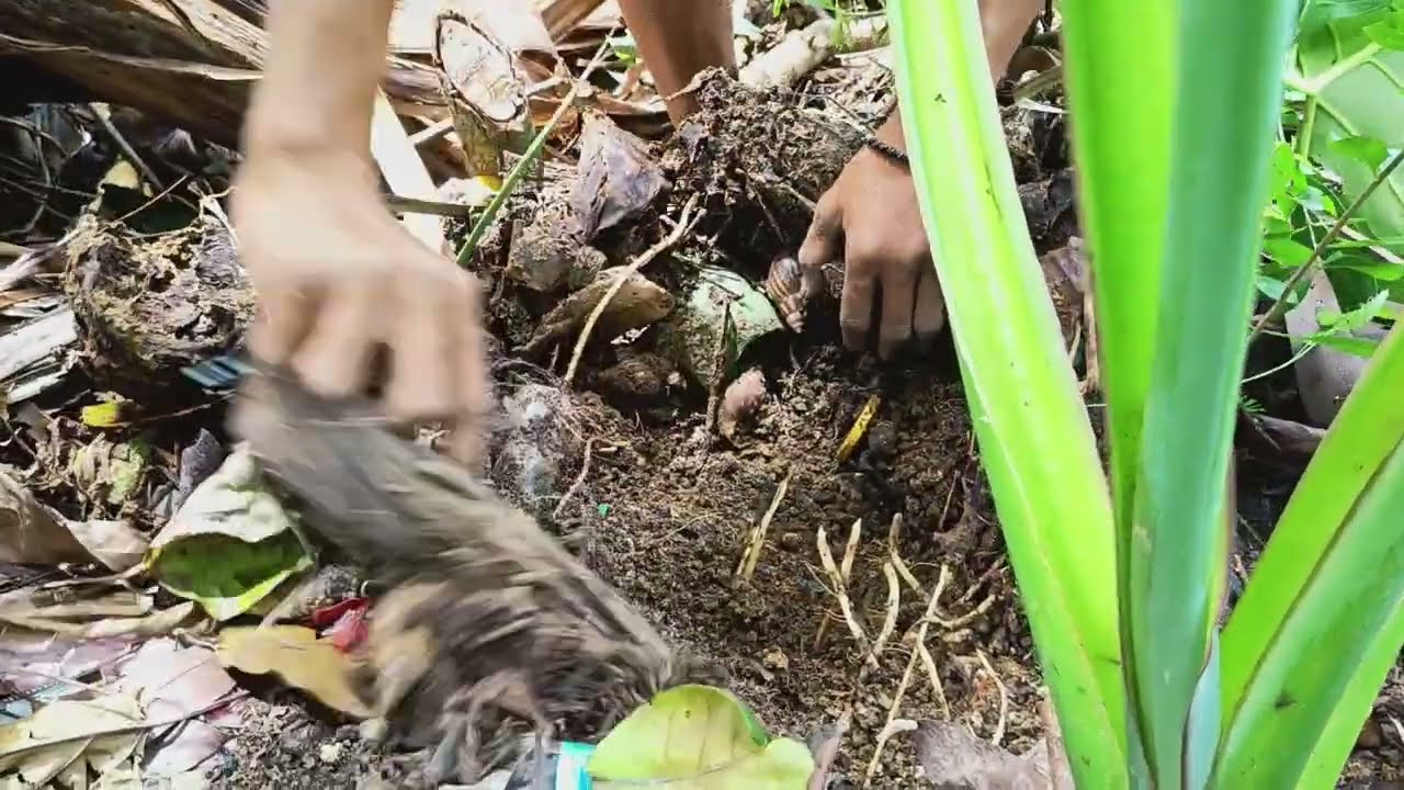 A day in my life as a farmer. Today we do harvest #planting #nature 