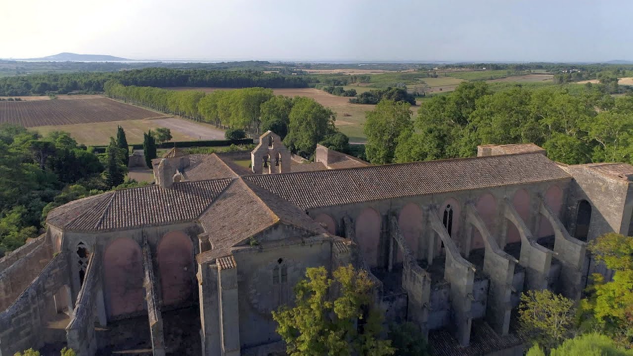 Balades occitanes : découverte de l'abbaye de Valmagne