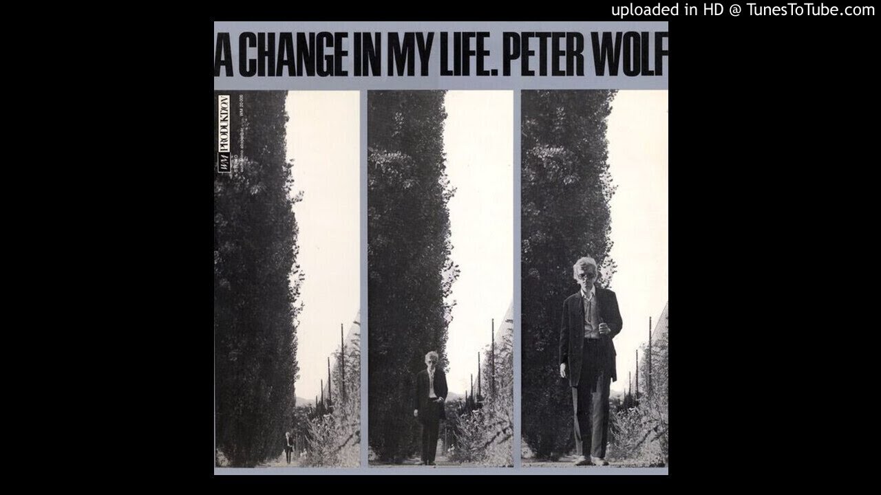 PETER WOLF - Just the policeman