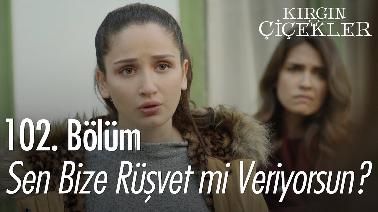 Sen bize rüşvet mi veriyorsun? - Kırgın Çiçekler 102. Bölüm