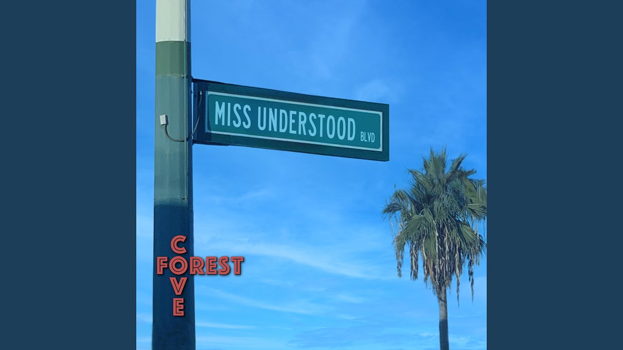 miss understood