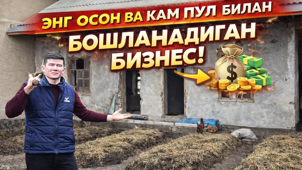 800 МИНГ СЎМ БОРМИ? УНДА БУ БИЗНЕС СИЗ УЧУН!