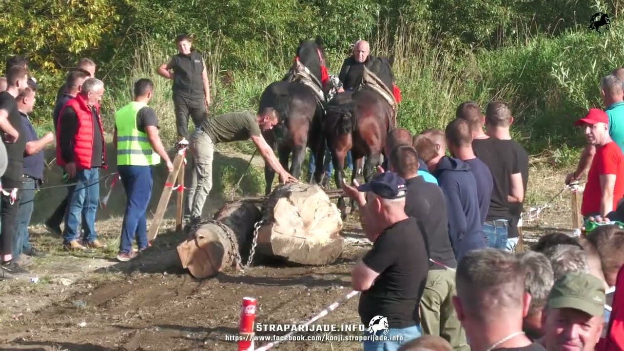 LAKA KOD  BELMINA KLEPIĆA 2025