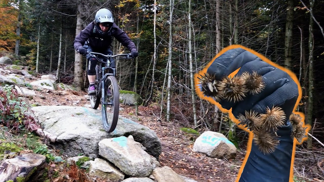 Naturbelassene Trails im Schwarzwald | Mein erster Platten & Stacheldinger entfernen |Hanna Kast #25