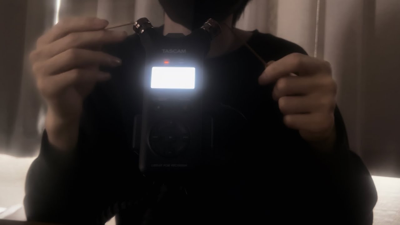 【ASMR】耳かき音聴き比べ 100均vs匠の耳かき 味変プチプチブラシ