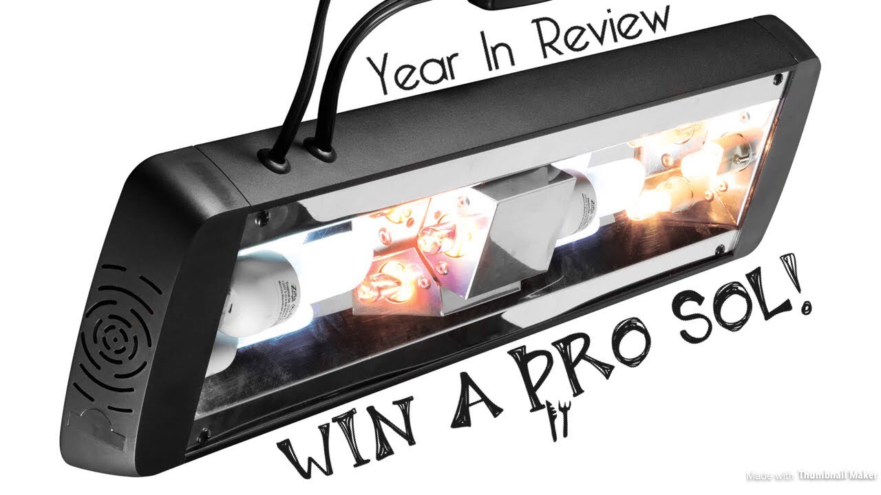 Zilla Pro Sol Review & GIVEAWAY! (Read Description!)