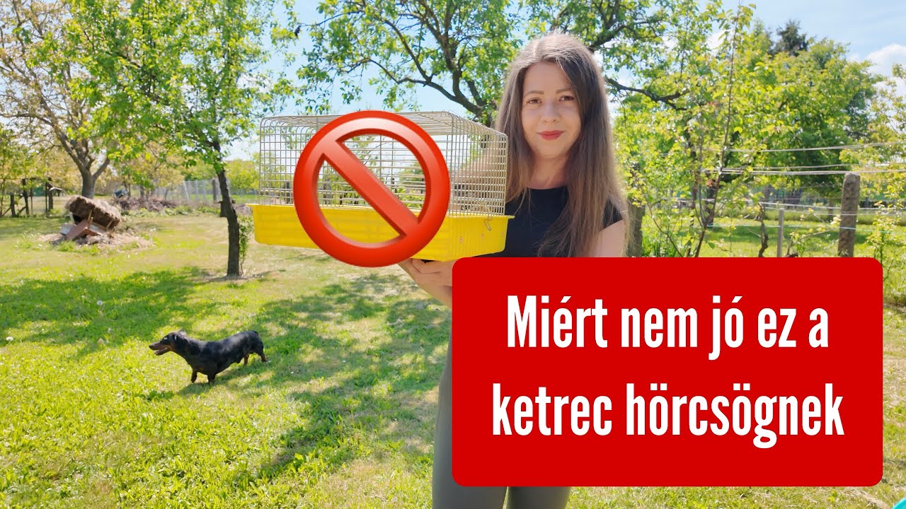 Miért nem jó ez a ketrec hörcsögnek ❌🚫🐹🐭
