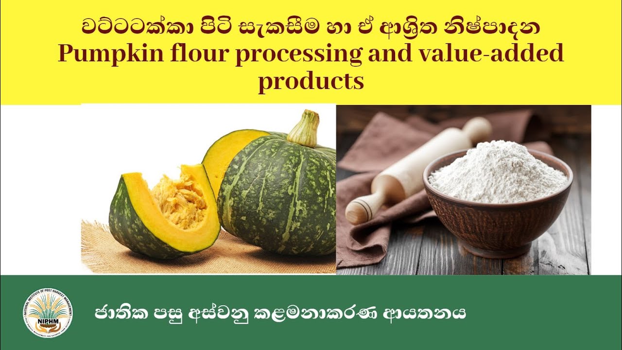 Pumpkin flour processing &  value added products වට්ටටක්කා පිටි සැකසීම හා ඒ ආශ්‍රිත නිෂ්පාදන