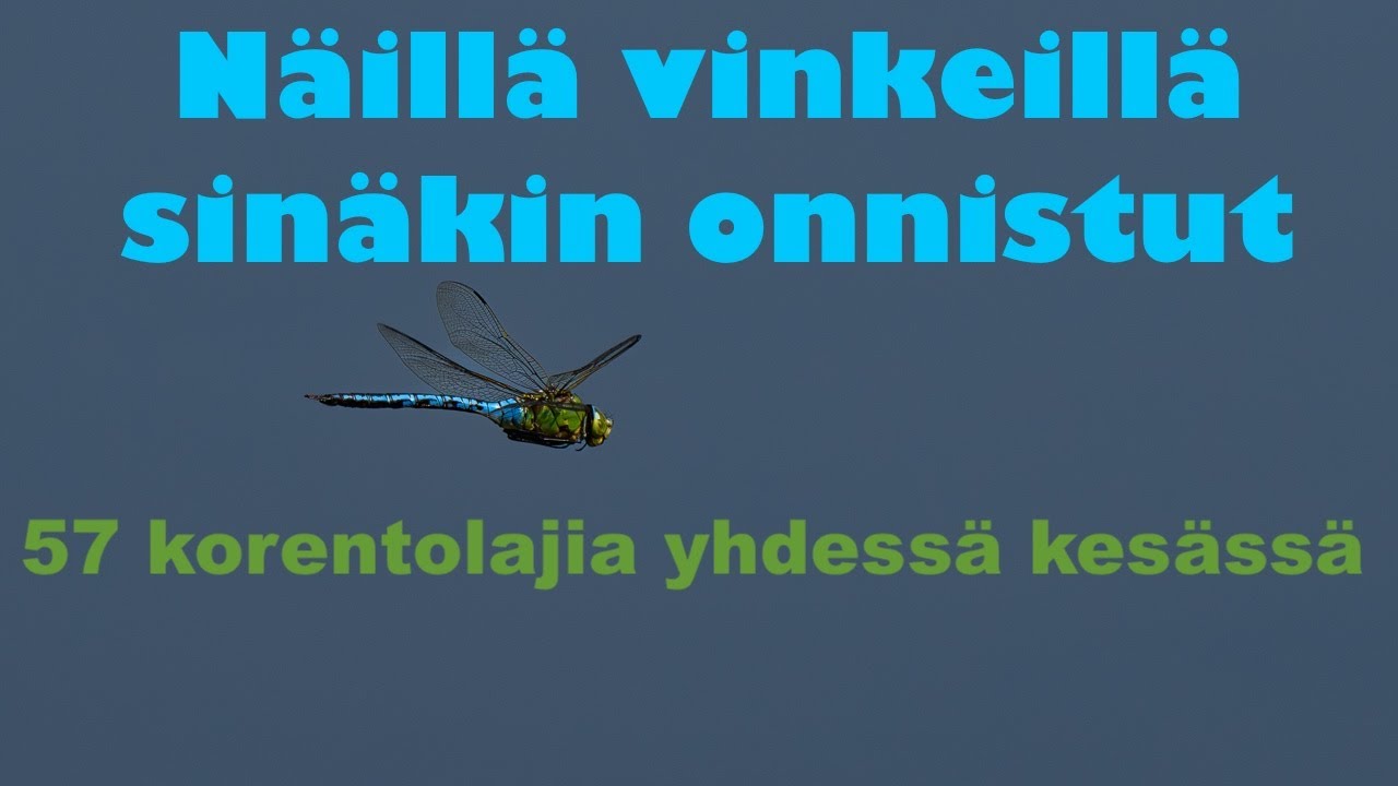 57 korentolajia yhdessä kesässä. Näillä vinkeillä sinäkin onnistut.