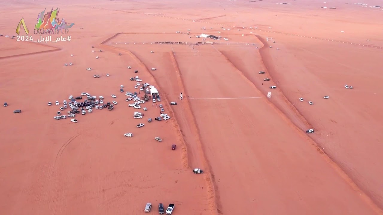 تحدّي الهجيج يوم السبت 2023/12/30م ضمن منافسات مهرجان الملك عبدالعزيز لسباقات الهجن