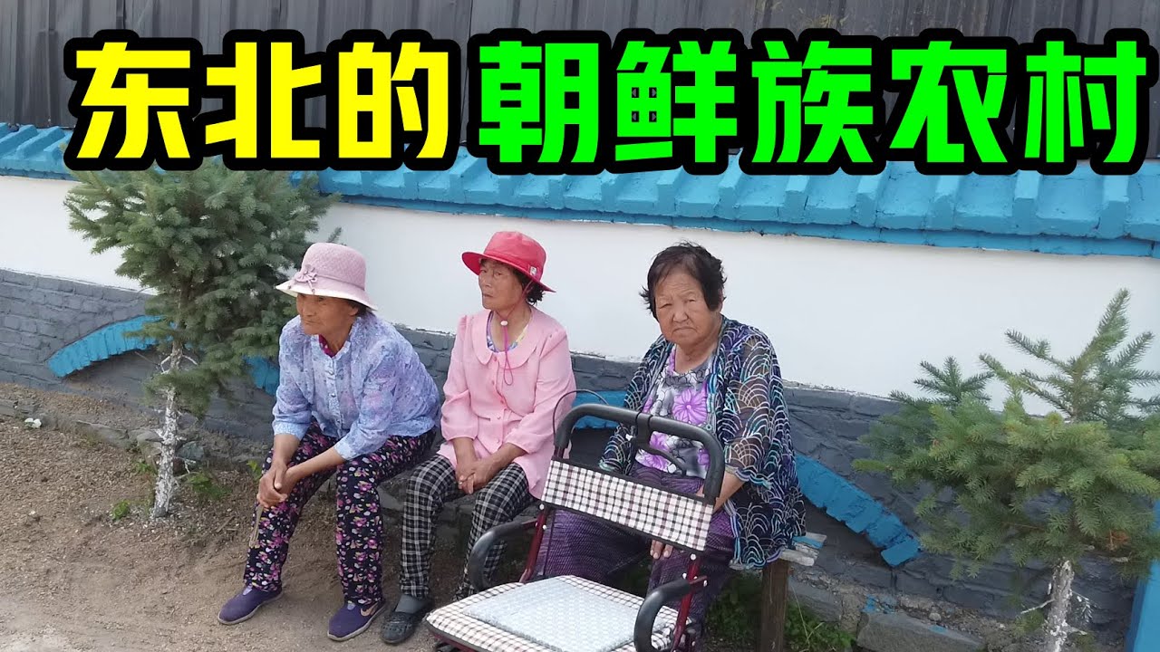 中国东北的，朝鲜族农村！附本人原创的主题曲《浮在旅途中的人》