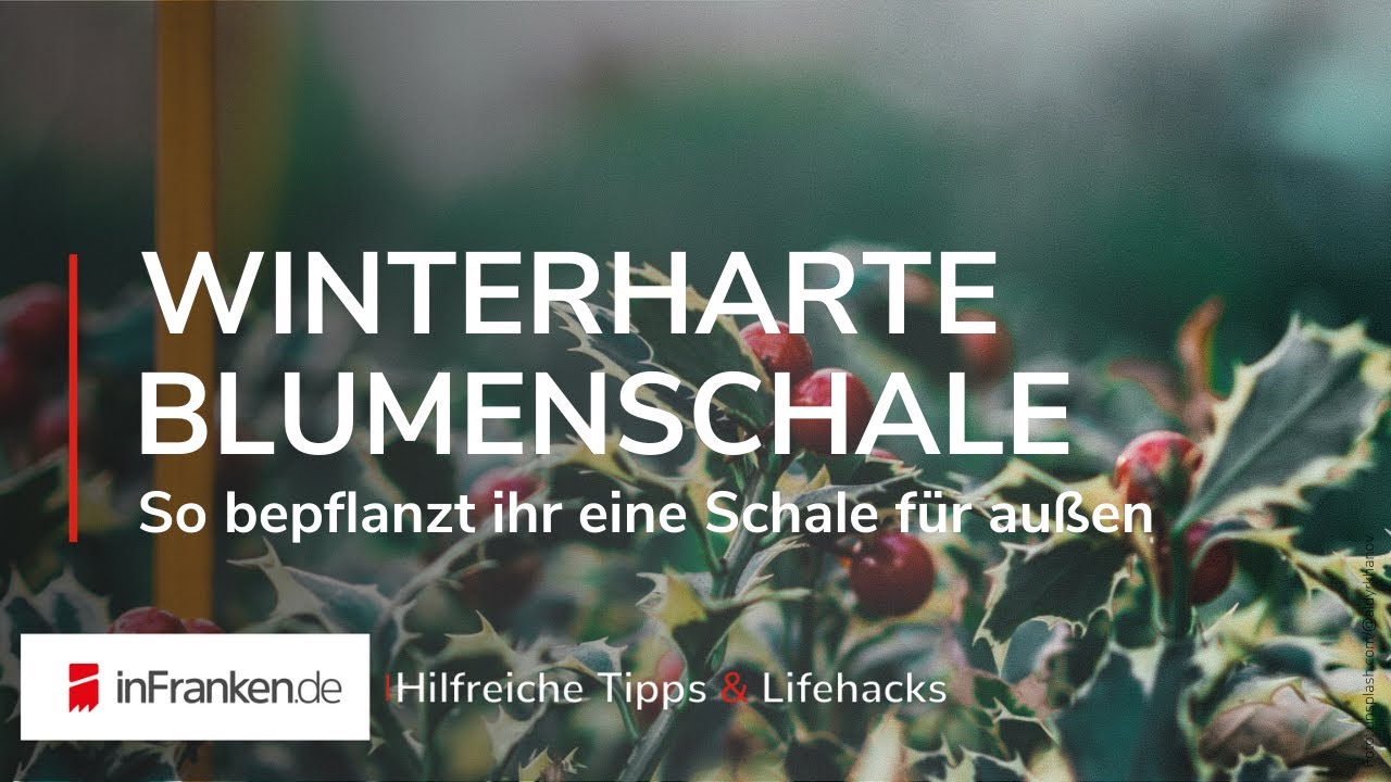 WINTERHARTE BLUMENSCHALE | 🎍 So bepflanzt ihr eine Schale f&uuml;r au&szlig;en