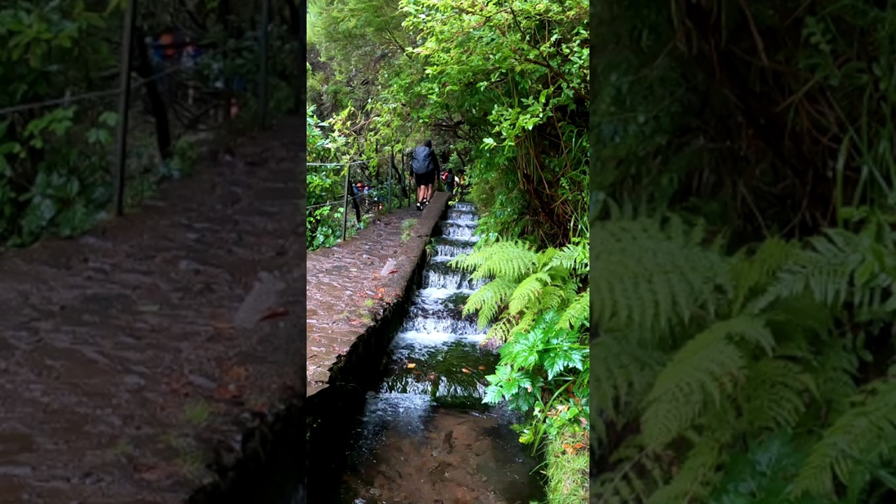 Madeira Levada das 25 fontes. Waterfall Risco on PR6 Walking Trail.