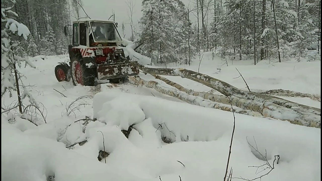 ЮМЗ испытания лебёдки в лесу