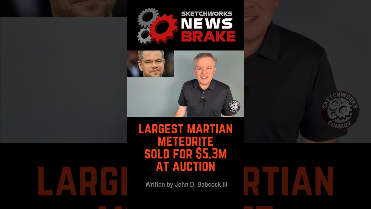 Largest Martian Meteorite Sold At Auction