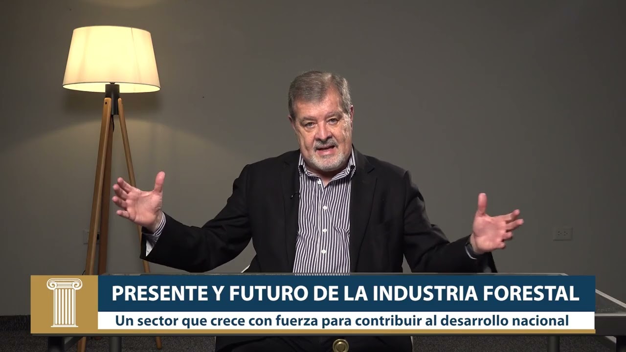 06 presente y futuro de la industria forestal