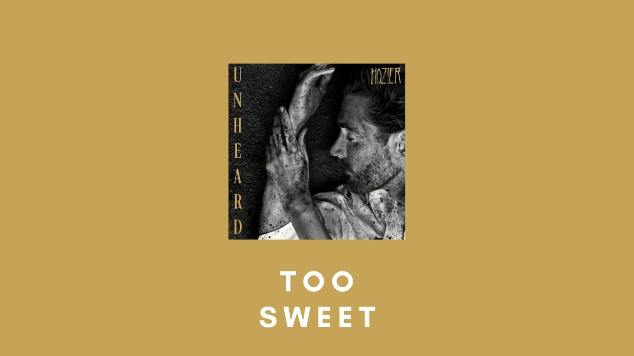 Too Sweet - Hozier (Slowed + reverb)