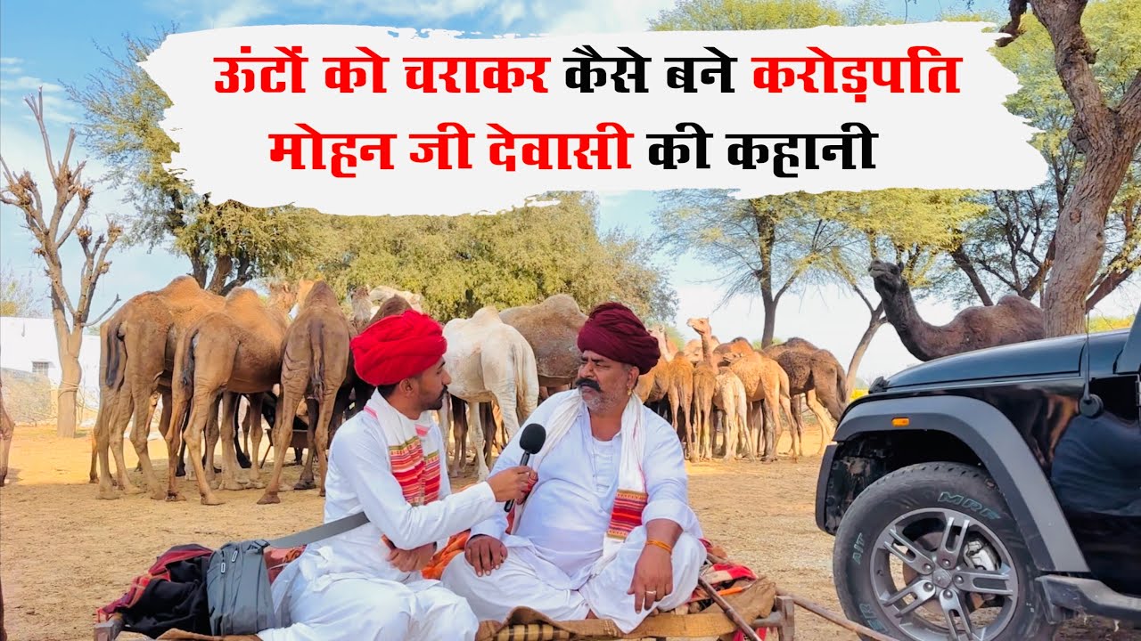 ऊंटों को चराकर कैसे बने करोड़पति मोहन जी देवासी की कहानी | Thar गाड़ी से 250 ऊंट चराते Mohan Dewasi