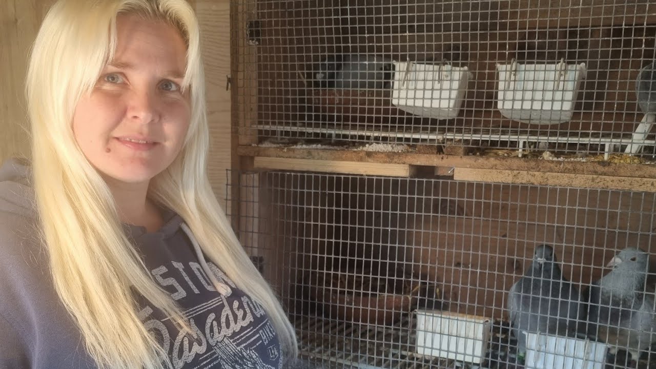 Bull System Update and Loft Build