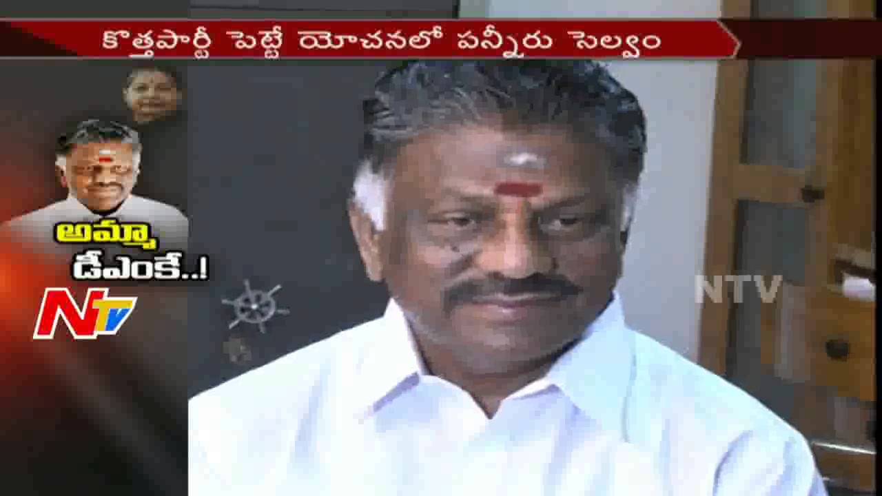 Panneerselvam Plan to Launch New Party || Amma DMK || #TNAssembly || NTV