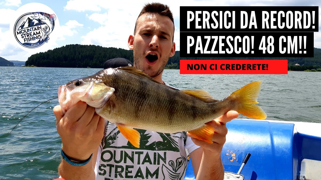 PERSICI ENORMI! Spinning ai persici GIGANTI!!