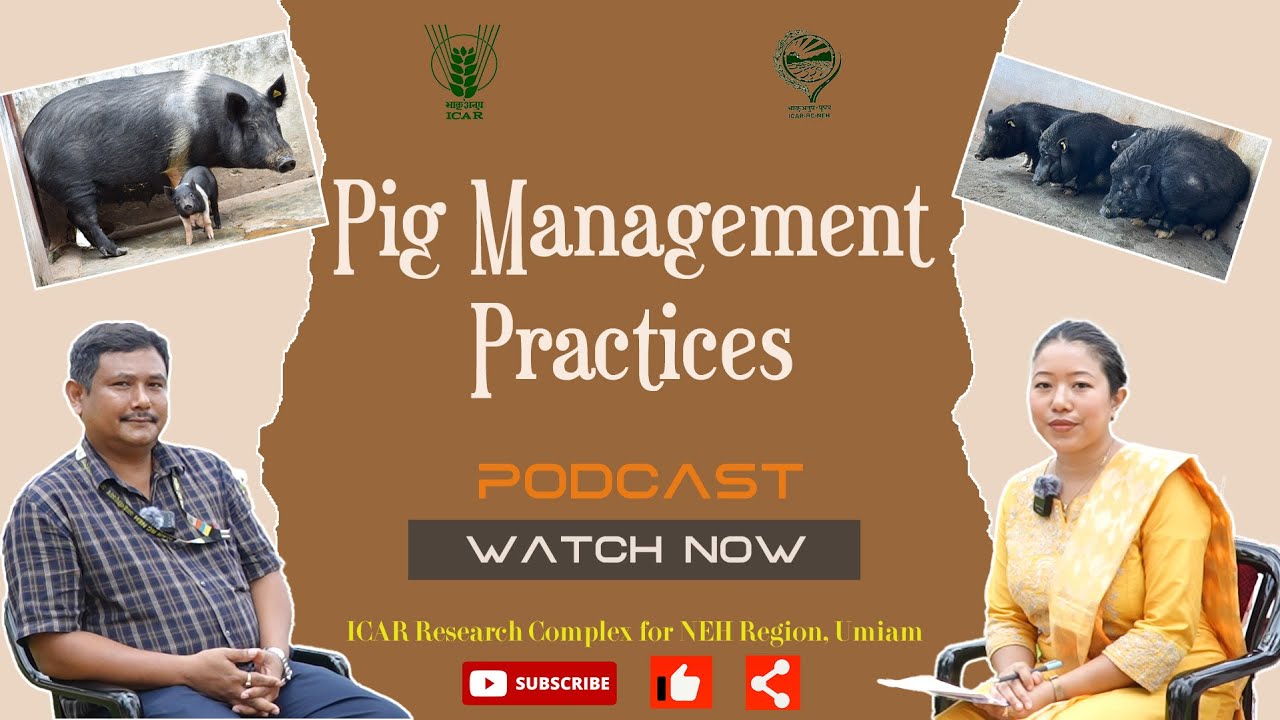 EP - 15 || Podcast on 