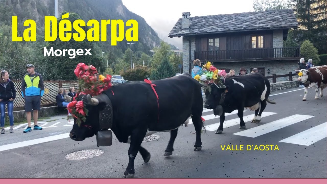 LA DÉSARPA Morgex 2023 - Bellissima sfilata delle mandrie!
