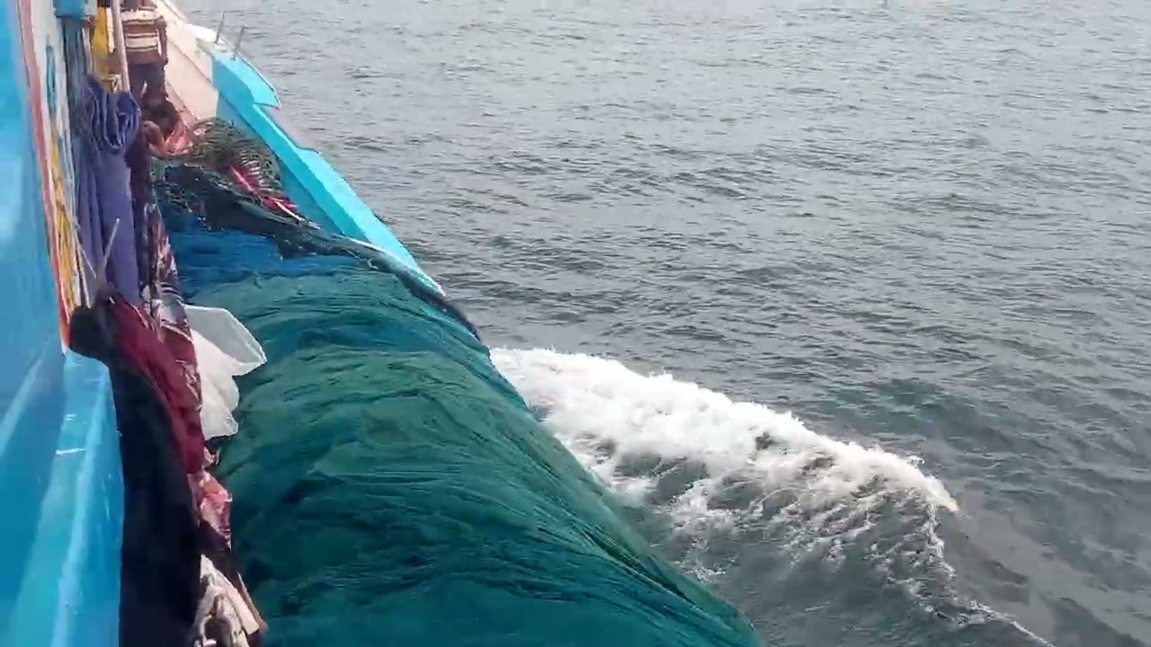Labuh kawanan ikan tuna‼️sisik hitam /// 20 ton yang bisa kami aman kan