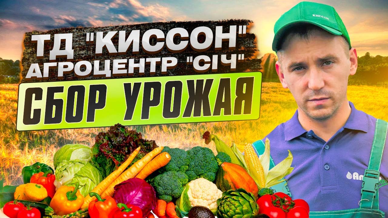 СБОР УРОЖАЯ. Результат совместного эксперимента ТД 