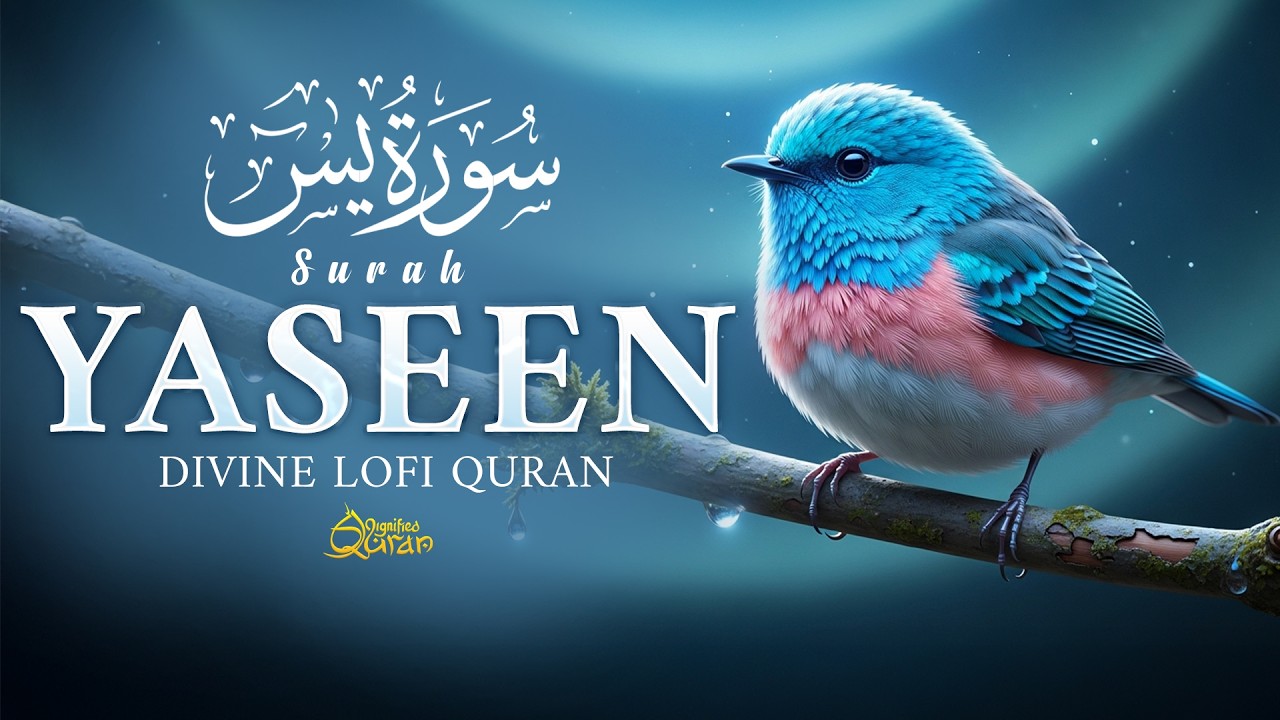 Surah Yaseen (سورة يس) | Peaceful Quran Recitation for Healing & Protection | Dignified Quran #quran