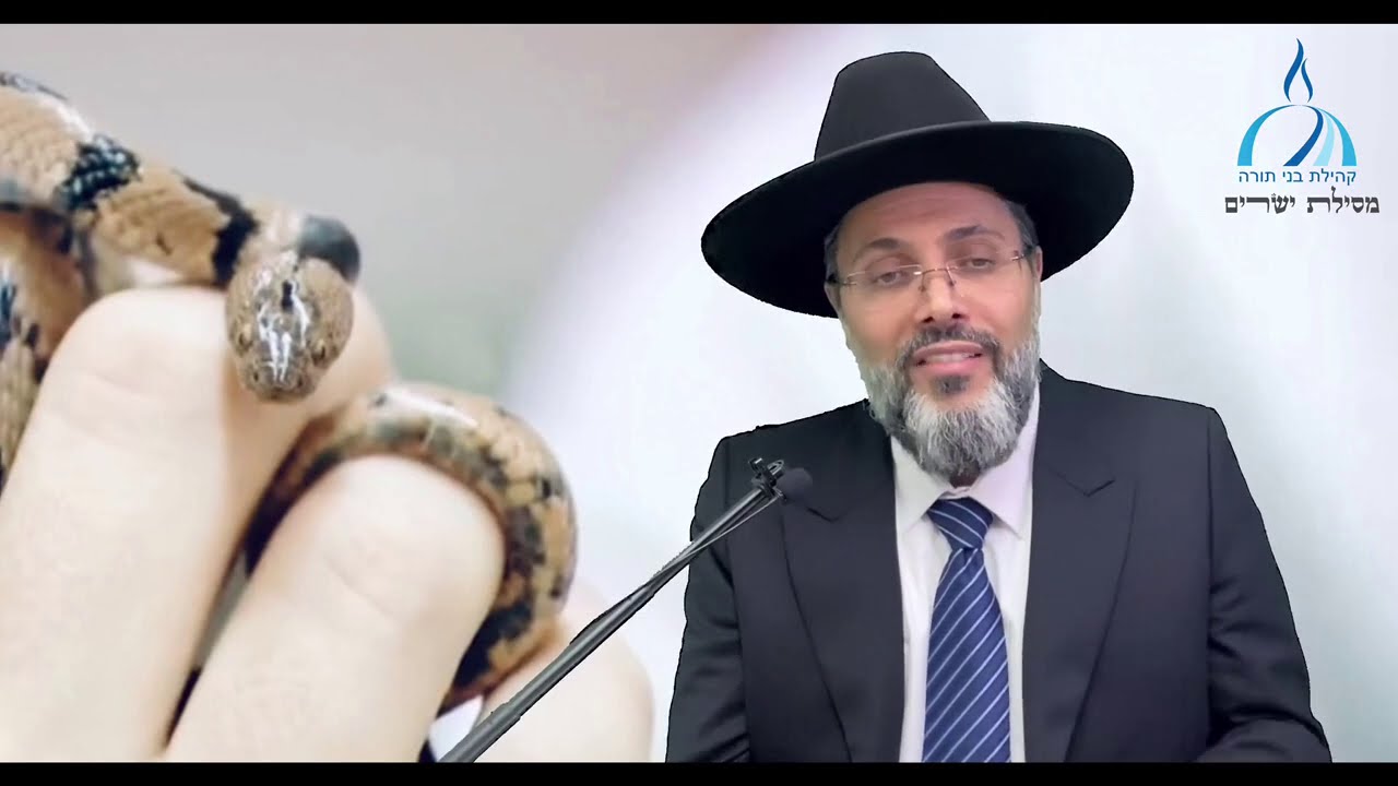 איפה הילדים של הנחש? חידוש - הרב נריה ר. מועלם