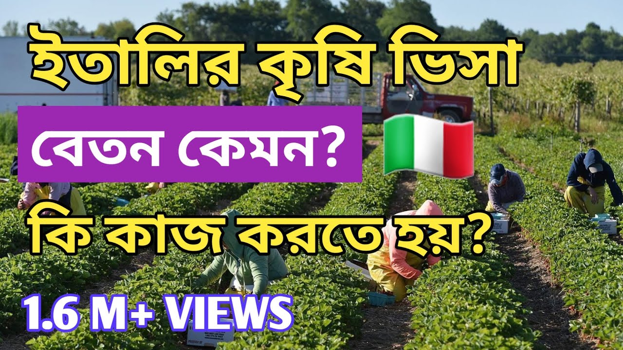 ইতালির কৃষি ভিসা | বেতন কেমন এবং কি ধরনের কাজ করতে হয়?