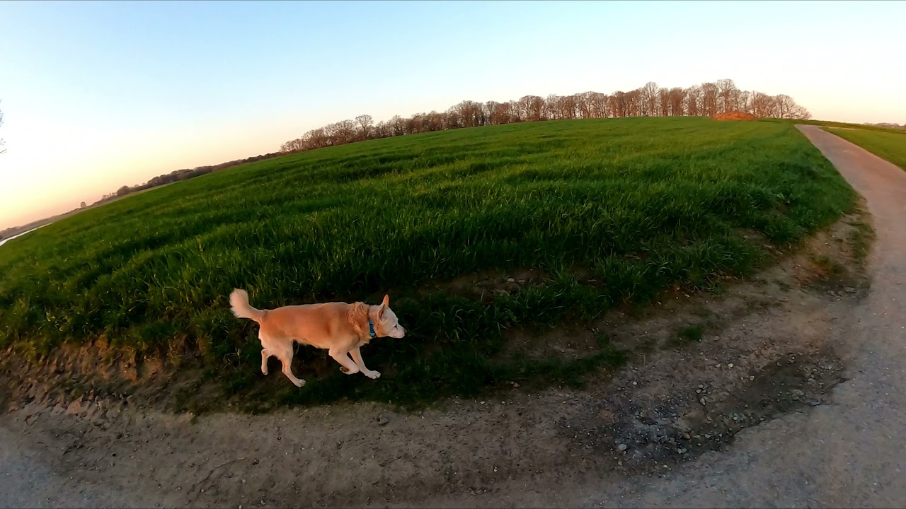 Schaephuysen, 12 Km,  31 03.2021