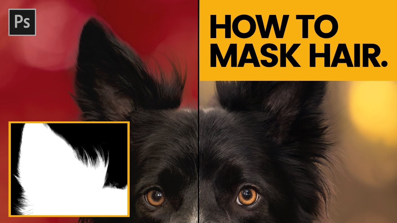 КАК ЗАМАСКИРОВАТЬ ВОЛОСЫ В PHOTOSHOP — Урок по маскировке шерсти собак в Photoshop CC 2020