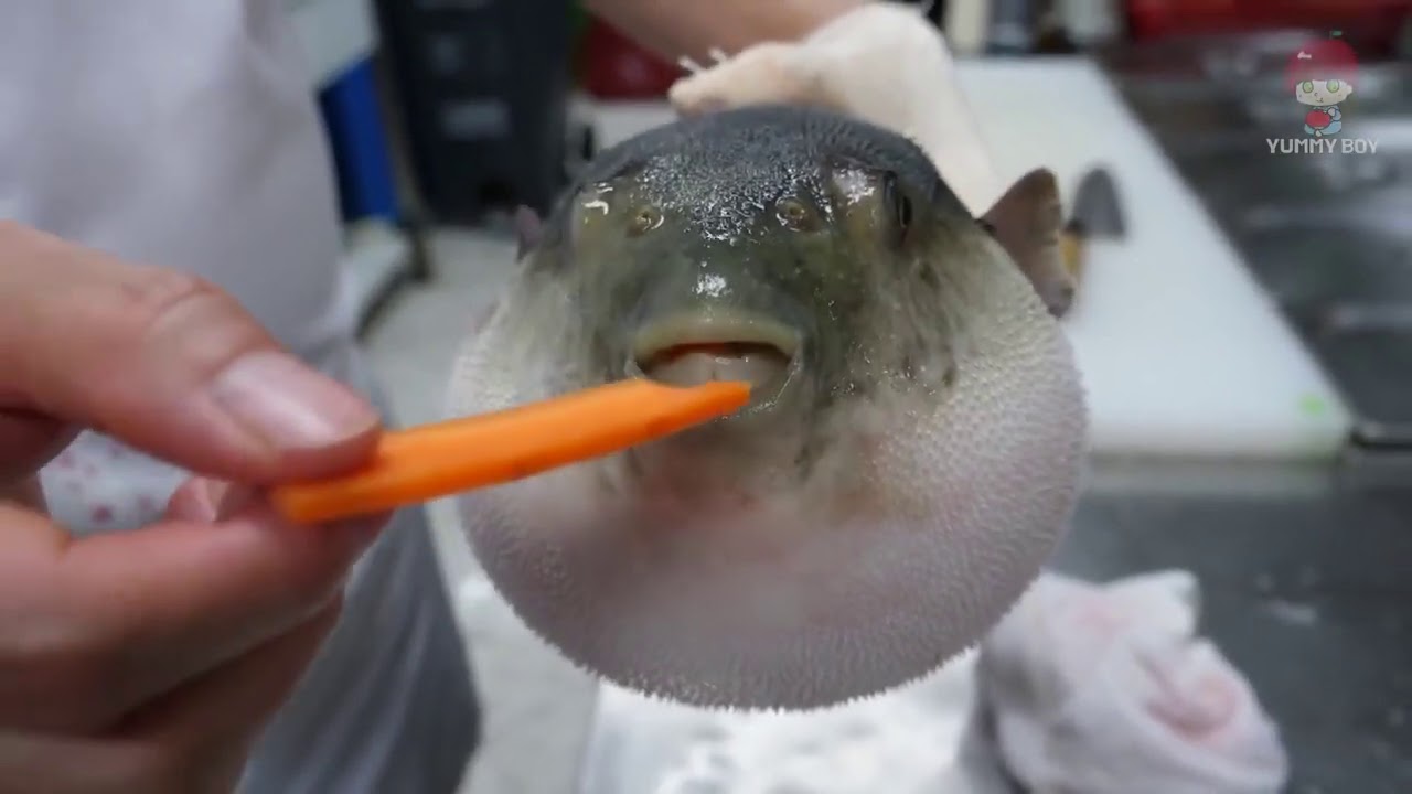 pufferfish says aeugh