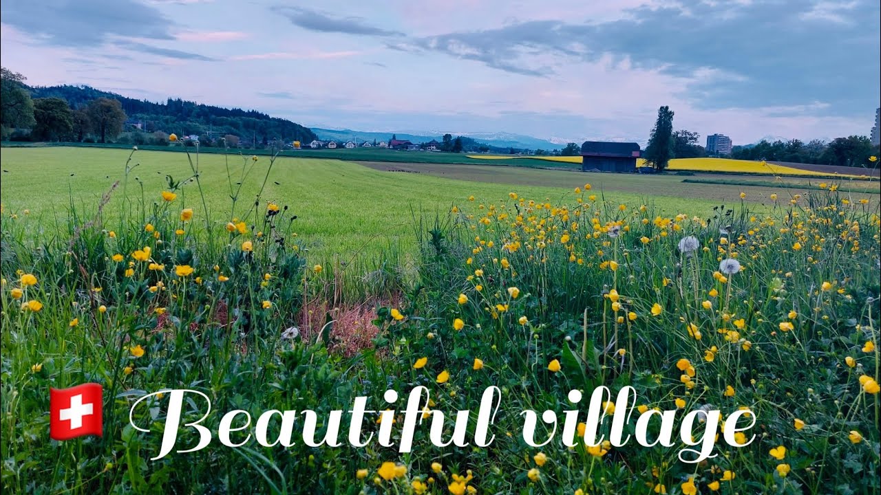 A Beautiful Waldheim Village Ostermundigen#switzerlandvillage