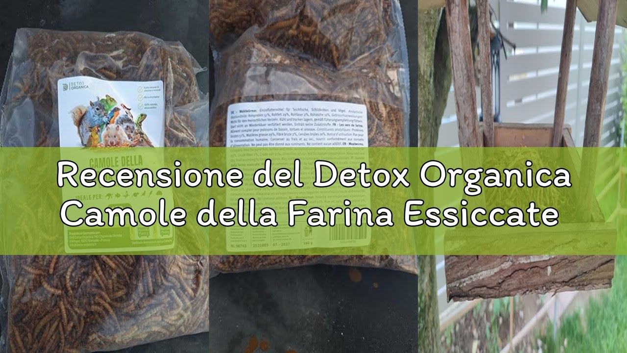 Recensione del Detox Organica Camole della Farina Essiccate [ 160gr/1000ml-PRODOTTO GERMANIA ] Quali