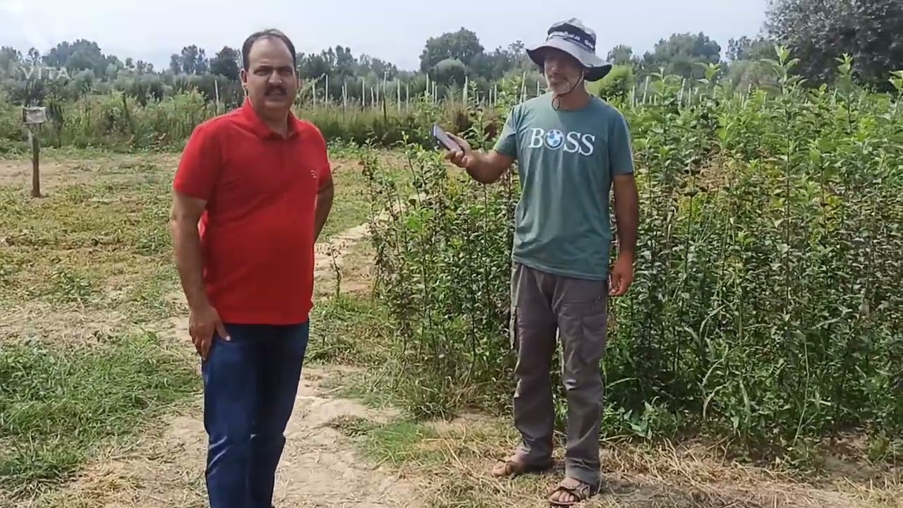 High Five Agro Skills Nursery located at Seeloo Sopore
