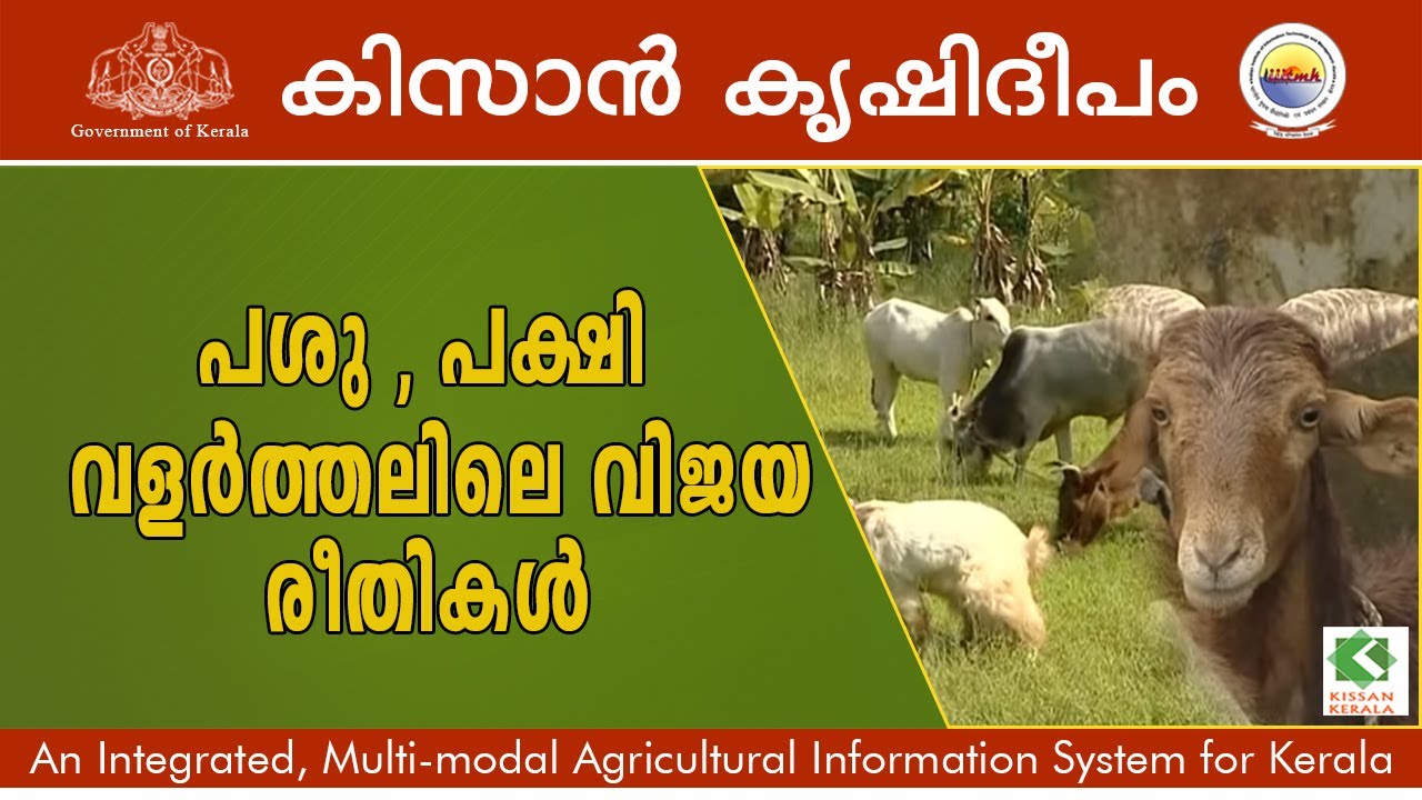 Diary, Bird rearing  as a profitable ventue  : Success story of by Sri. Ajith Kumar, Kollam