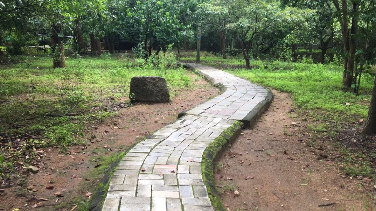 Nilgiri Biosphere Nature Park (NBNP)
