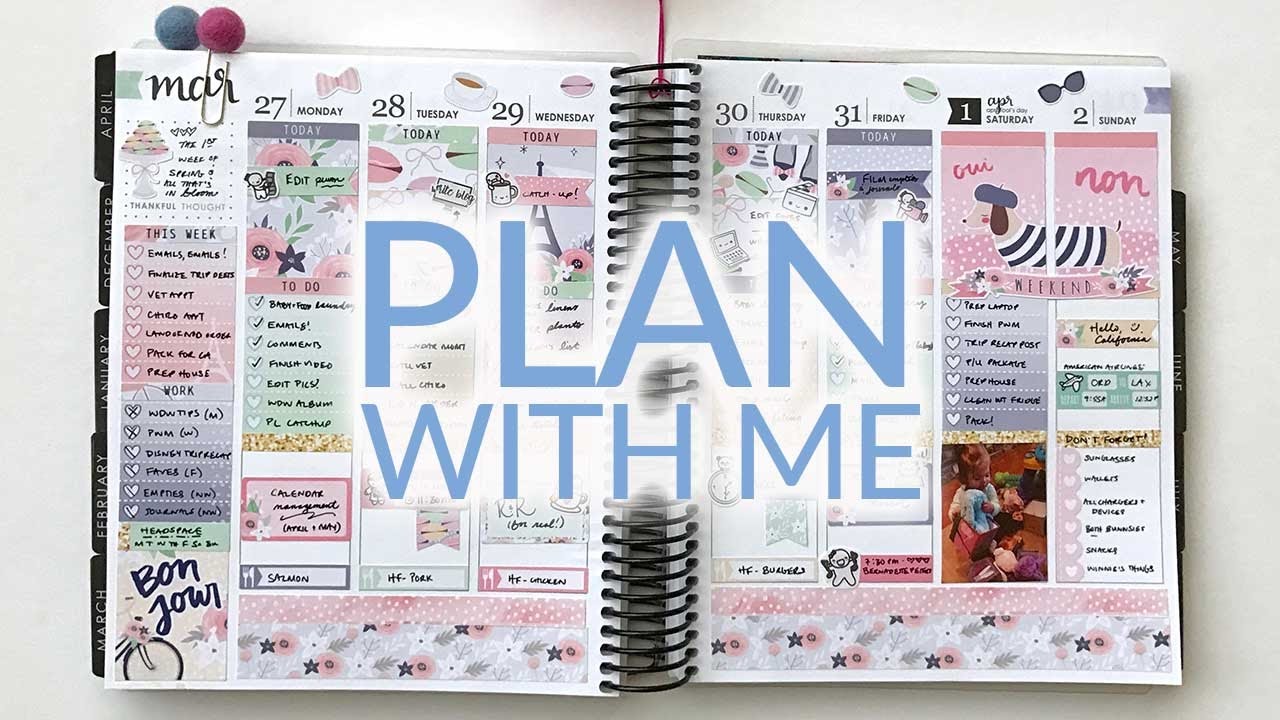Plan With Me | Erin Condren Life Planner | Hello Petite Paper // February Mystery Kit