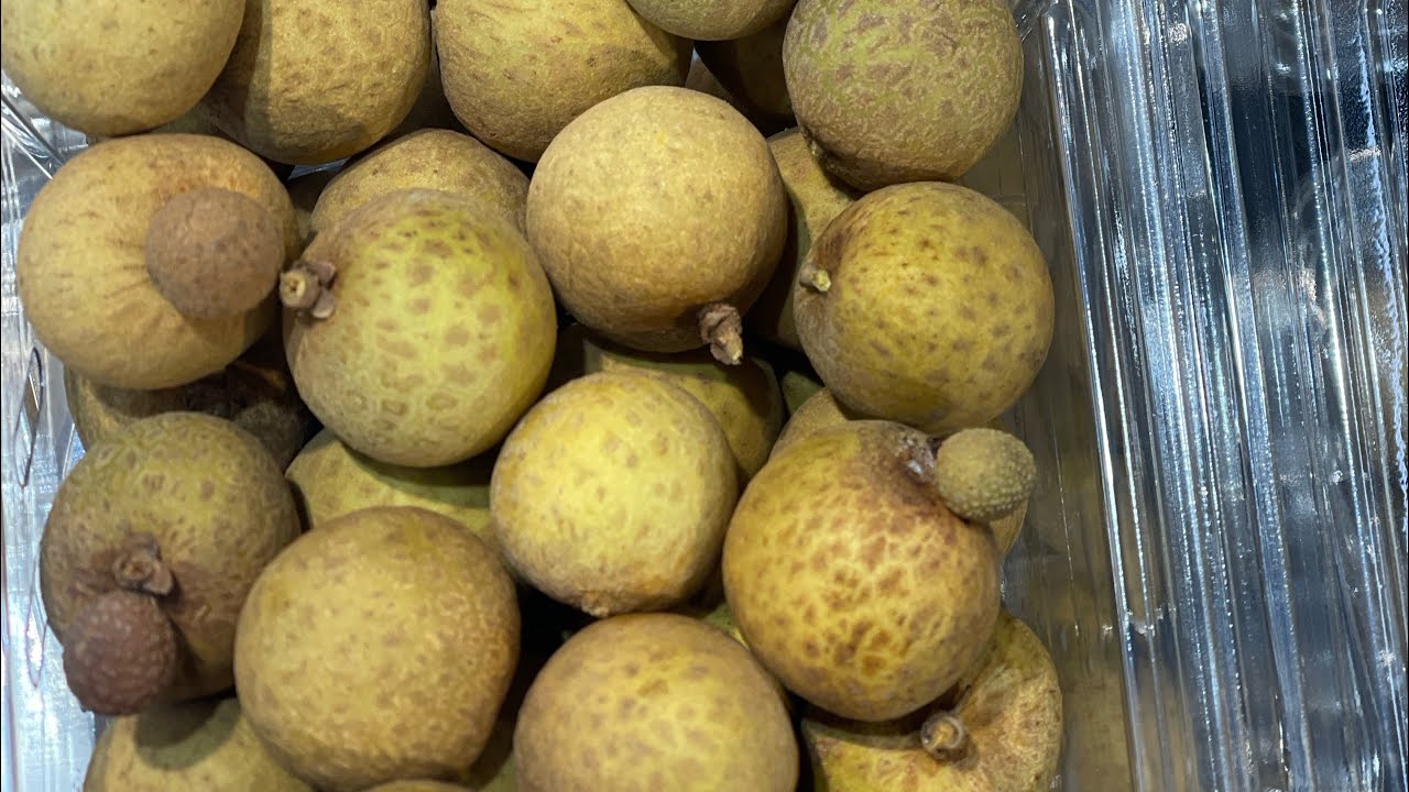 Longan …എനിക്കറിയുന്ന കുറച്ച് കാര്യങ്ങൾ സംസാരിക്കാം 