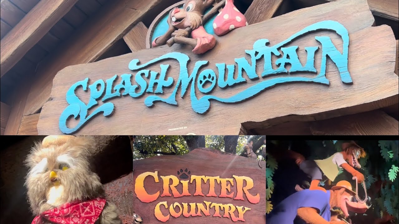 Splash Mountain Tokyo Disneyland Ultimate Tribute 2024