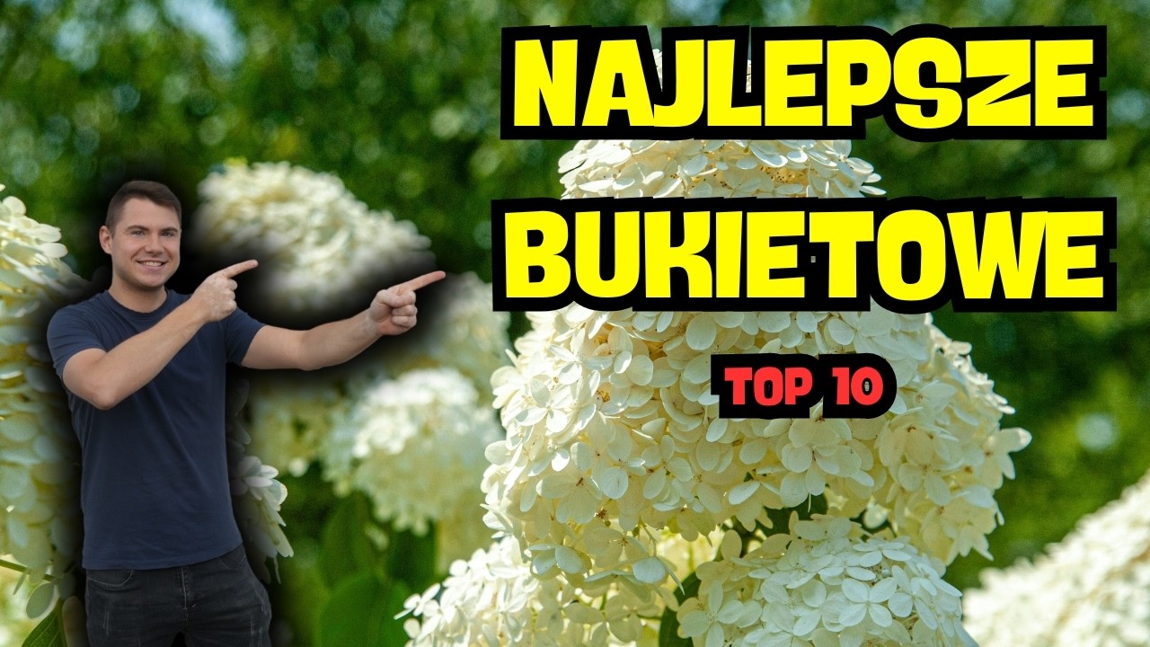 TOP 10 hortensji bukietowych, które MUSISZ mieć 🌸 Najpiękniejsze i niezawodne odmiany